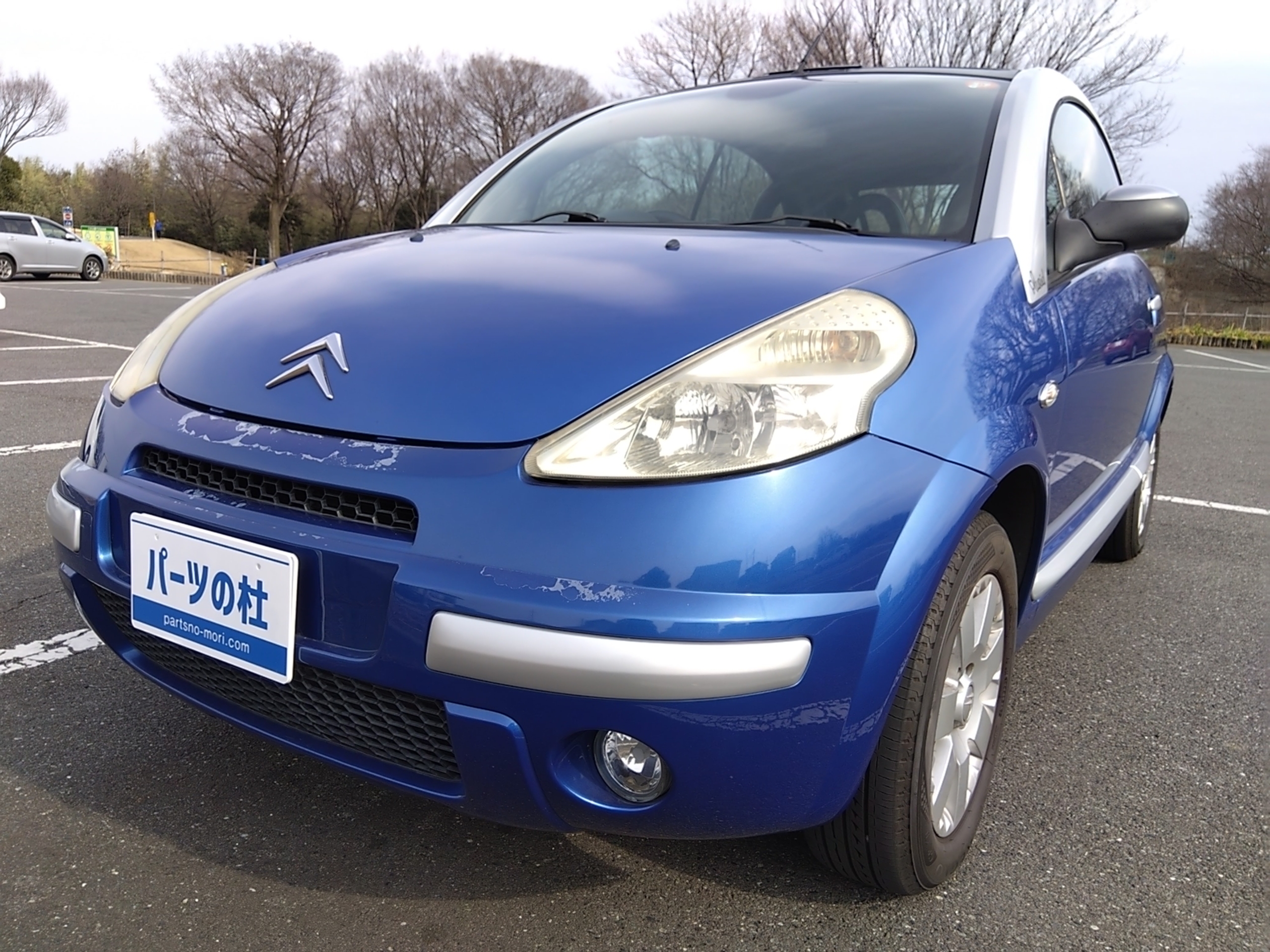 シトロエン C3 プルリエルのメインビジュアル